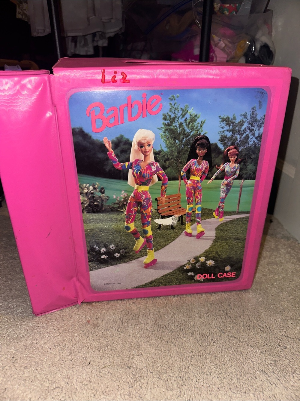 Barbie Doll Case